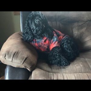 Meet your Posher, Cody